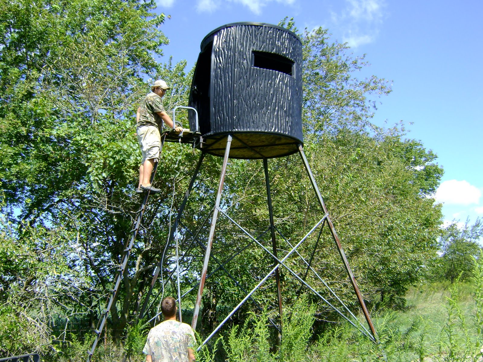 Herman Brothers Blog Shark, Doves, Ponds, Food Plots, and Solar Aeration