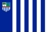 Bandera del departamento de Rivera
