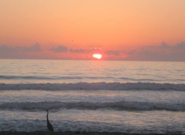 [beach+scene+margie+m+640+x+468.JPG]