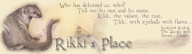 Rikki's Hints & Tips