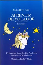 APRENDIZ DE VOLADOR (segunda edición)