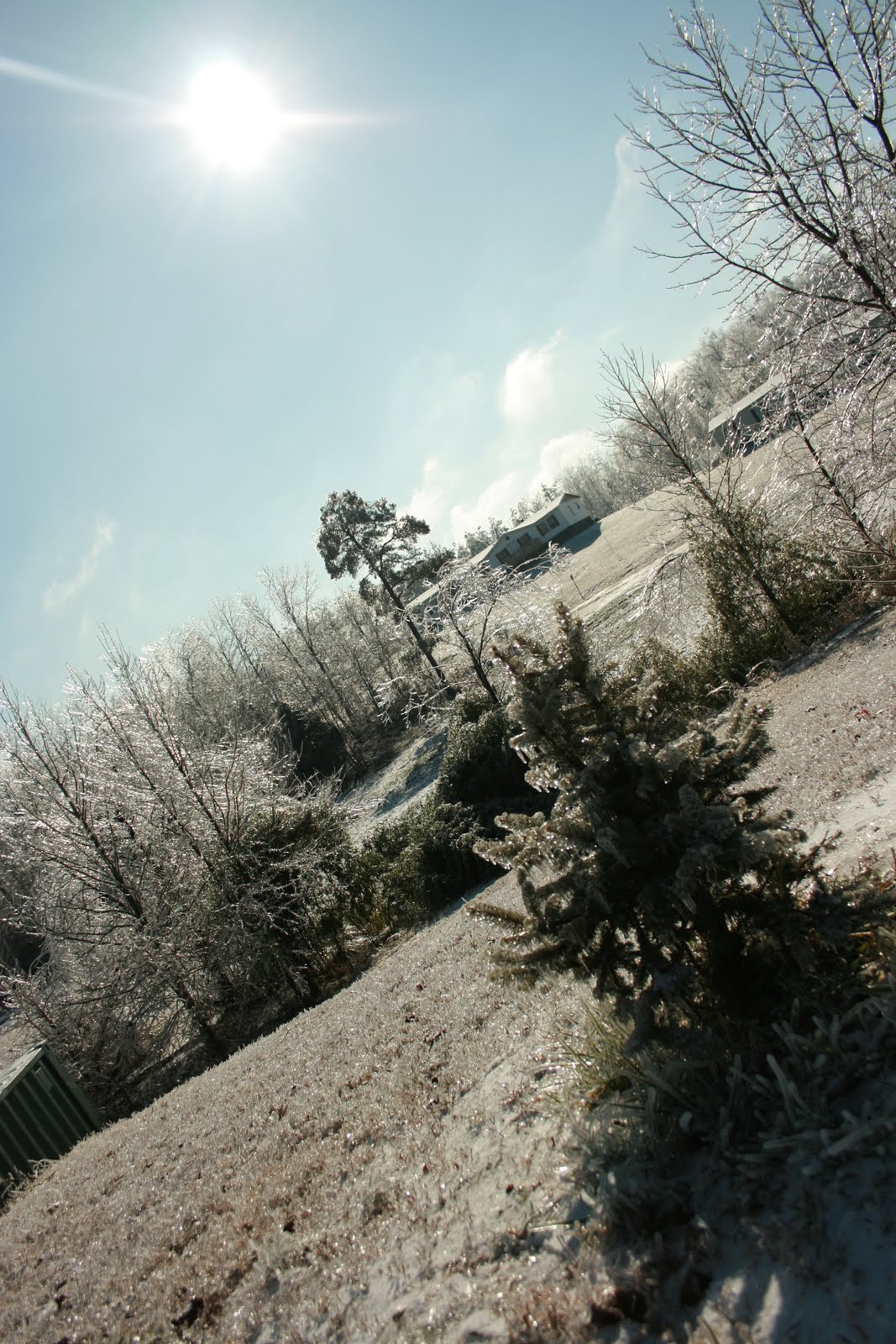 [IMG_0041.JPG]