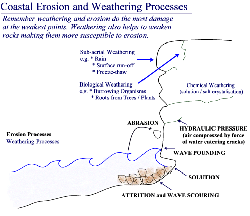 Coastal erosion is similar to river erosion as there are 4 ways that the 