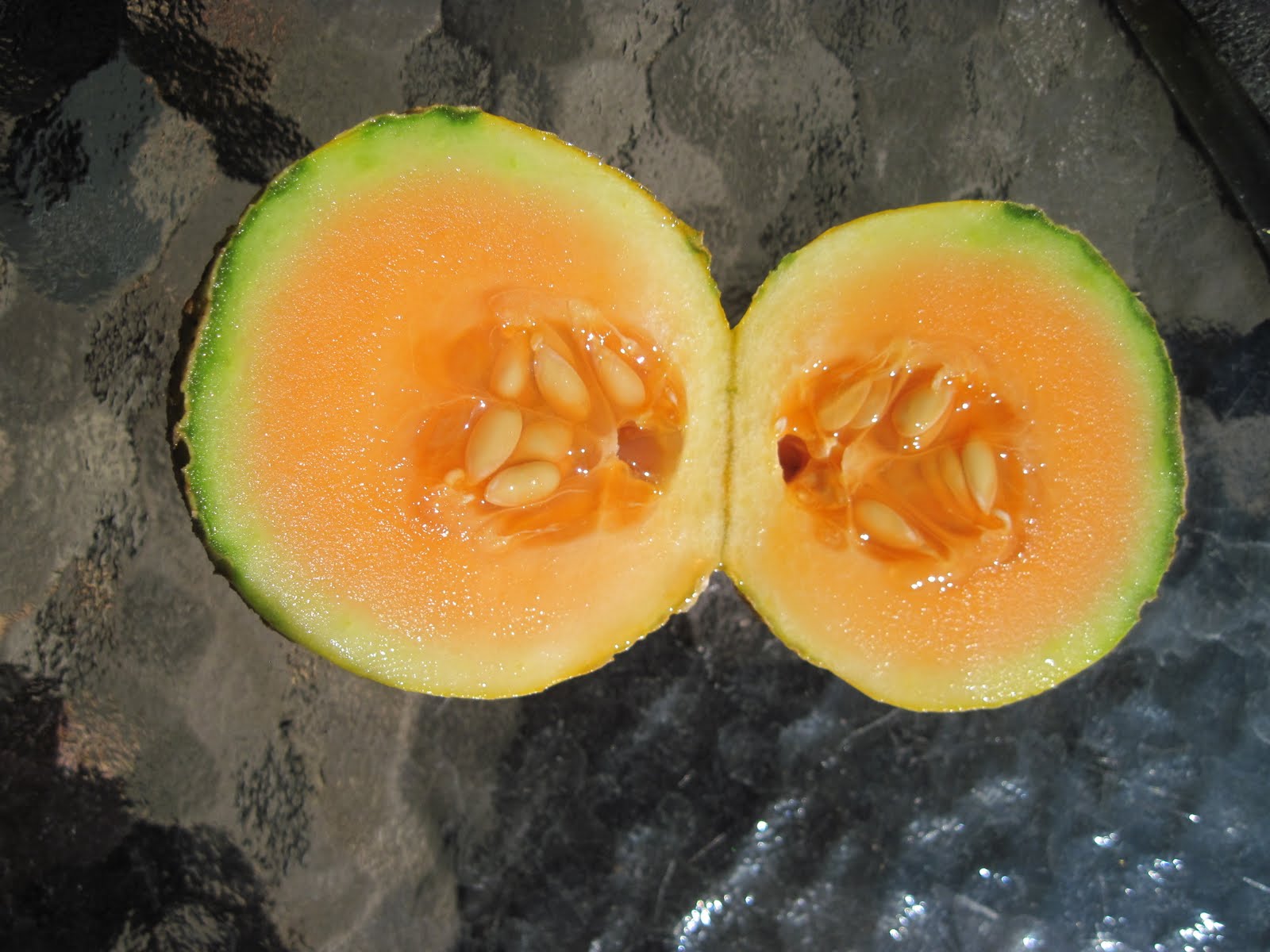 A Slice of Texas blog Toiling for Melons!