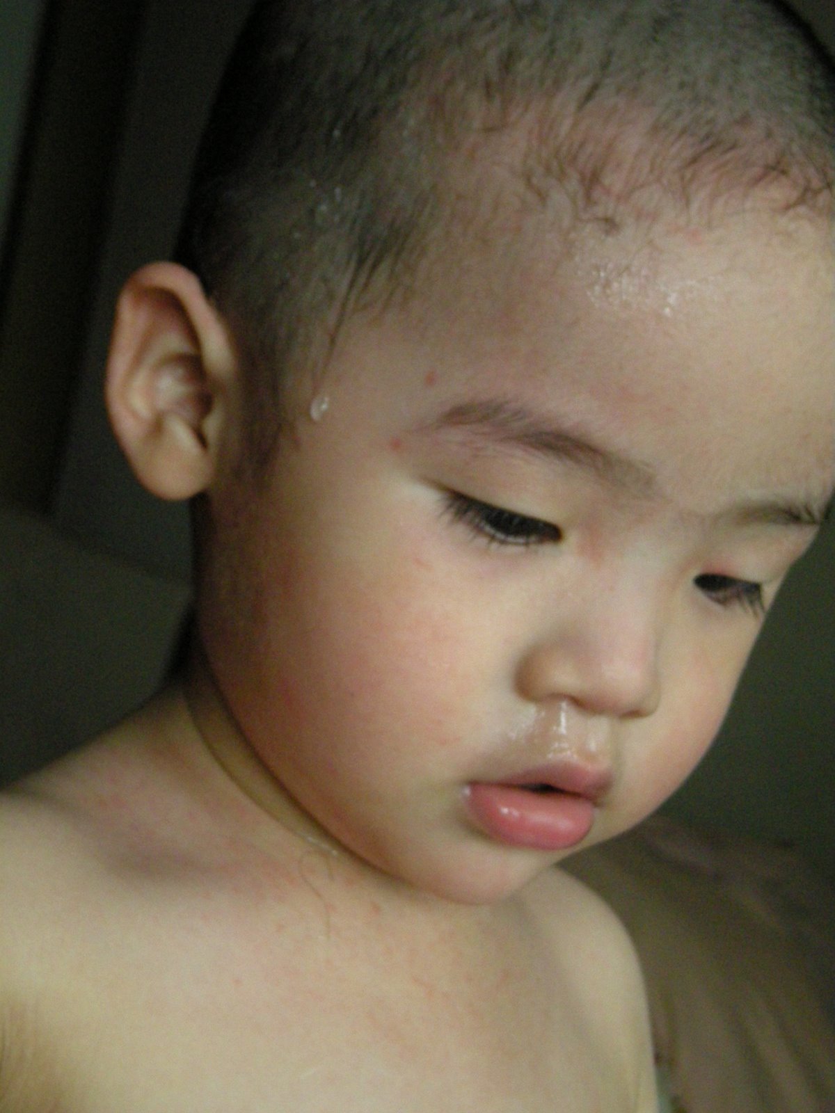 [DSCN6213.JPG]