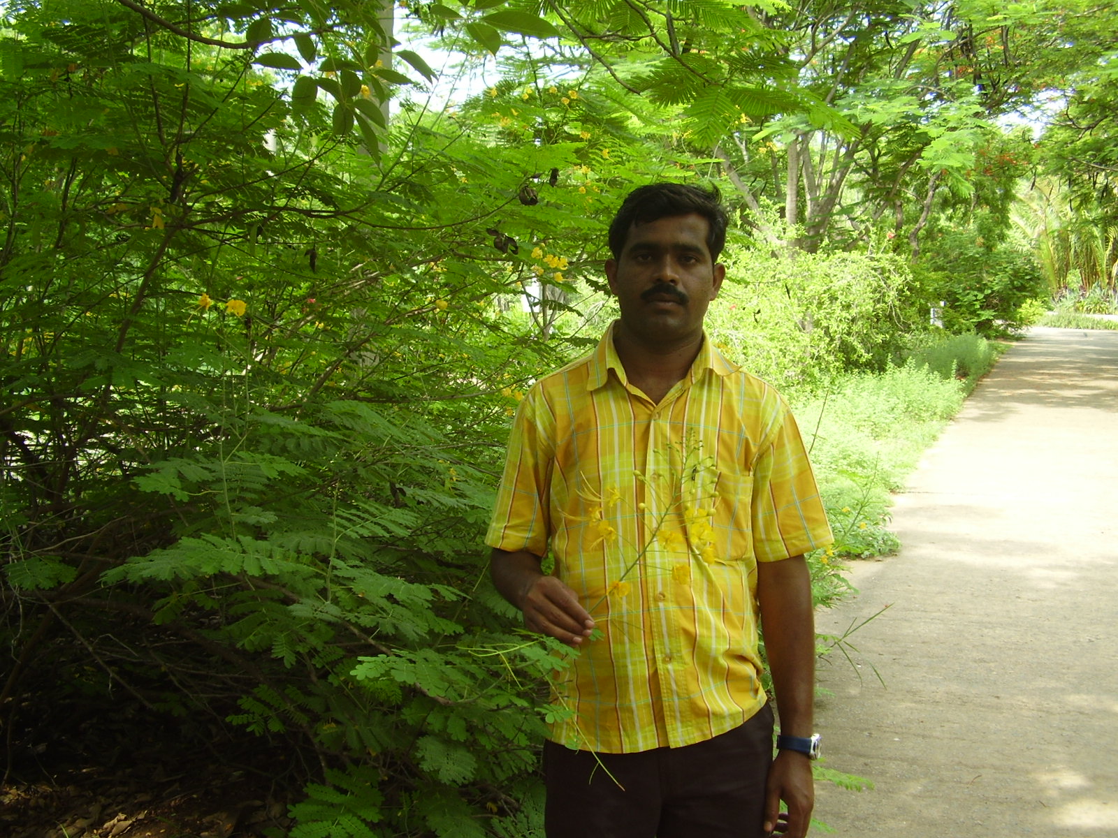 [P7050258.JPG]