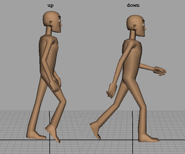 [up_and_down_anim.jpg]