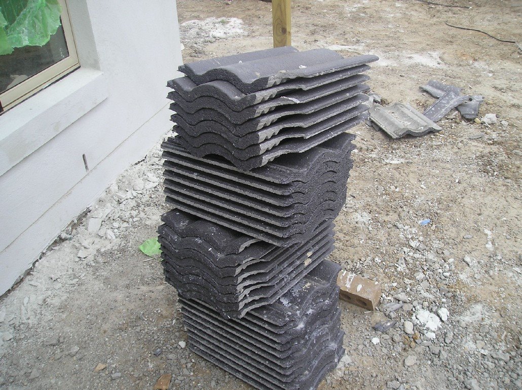[P1010002.JPG]