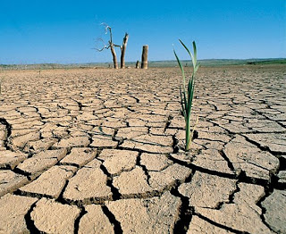 tierra seca