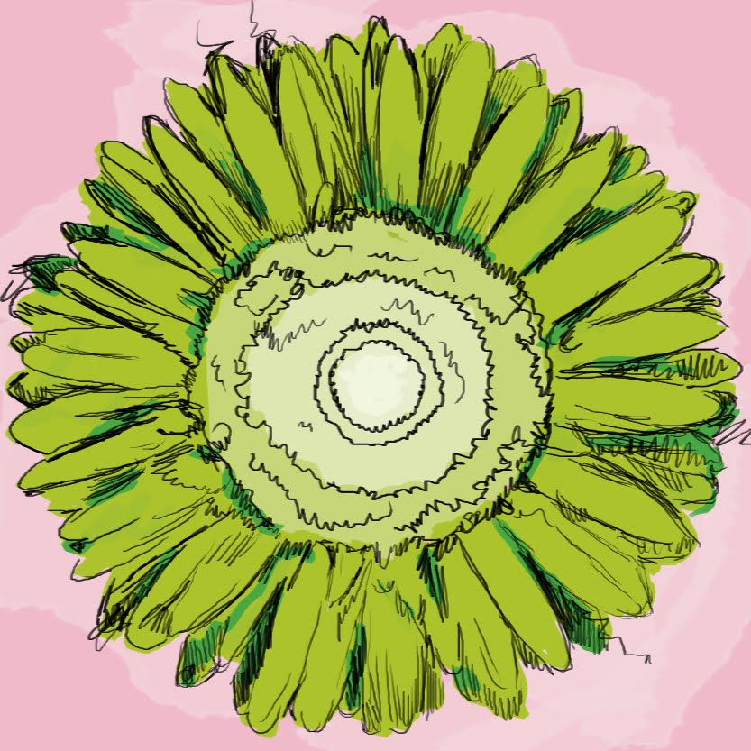 Gerber+daisies+drawing