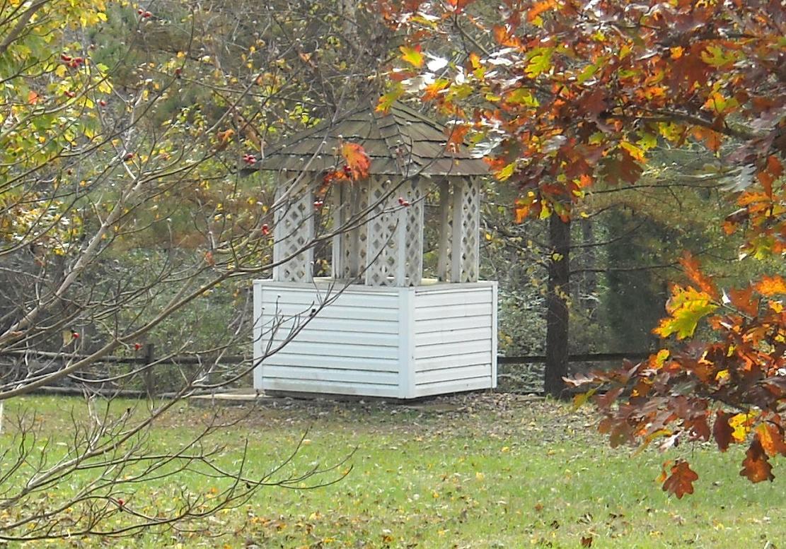 [DSCN2615e.jpg]