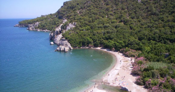 Pansiyon Apart ve Otel Rehberi OLYMPOS KADİR�S AĞAÇ EVLER