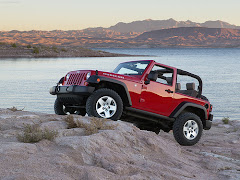 my baby"s next project..his jeep rubicon