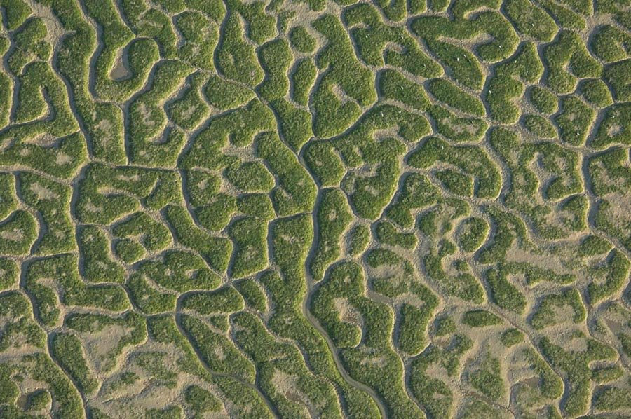 [HG-EBDCSIC-000145.jpg]