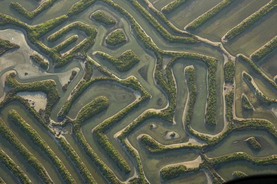 [HG-EBDCSIC-000520.jpg]