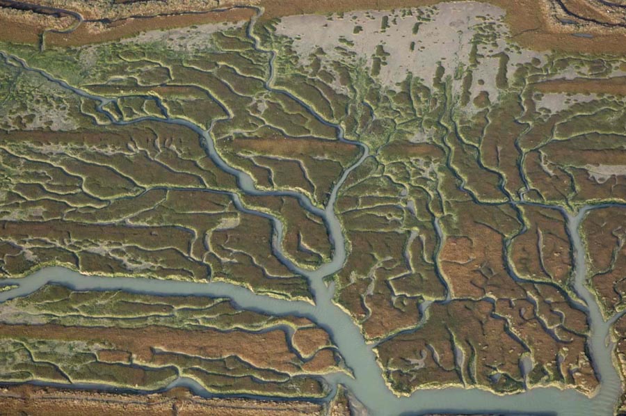 [HG-EBDCSIC-20005.jpg]