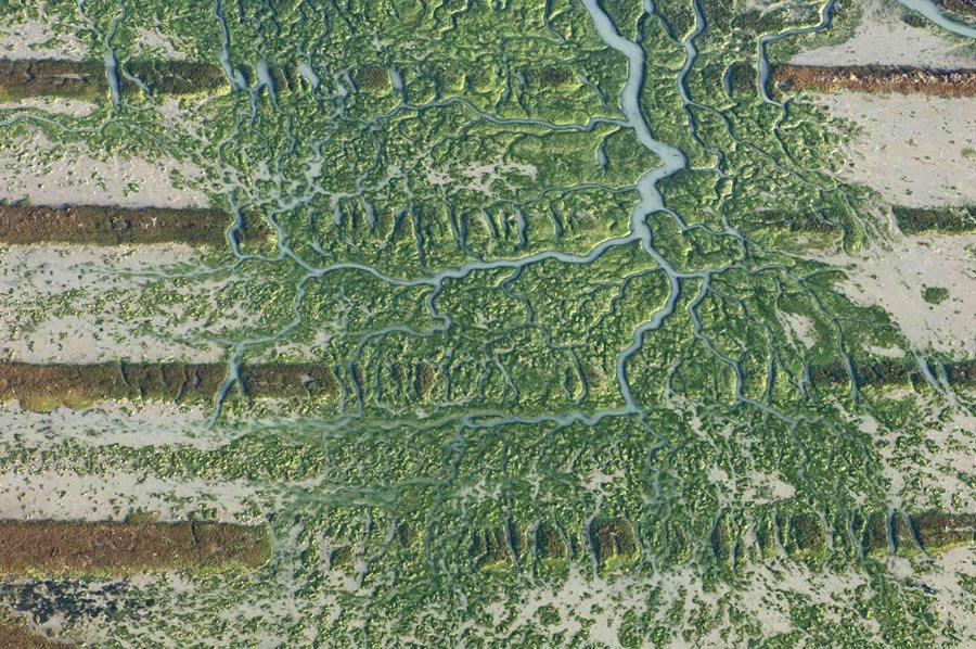 [HG-EBDCSIC-20029.jpg]