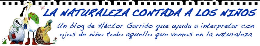 La naturaleza contada a los niños