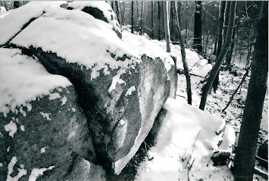 Ann's Land in Winter