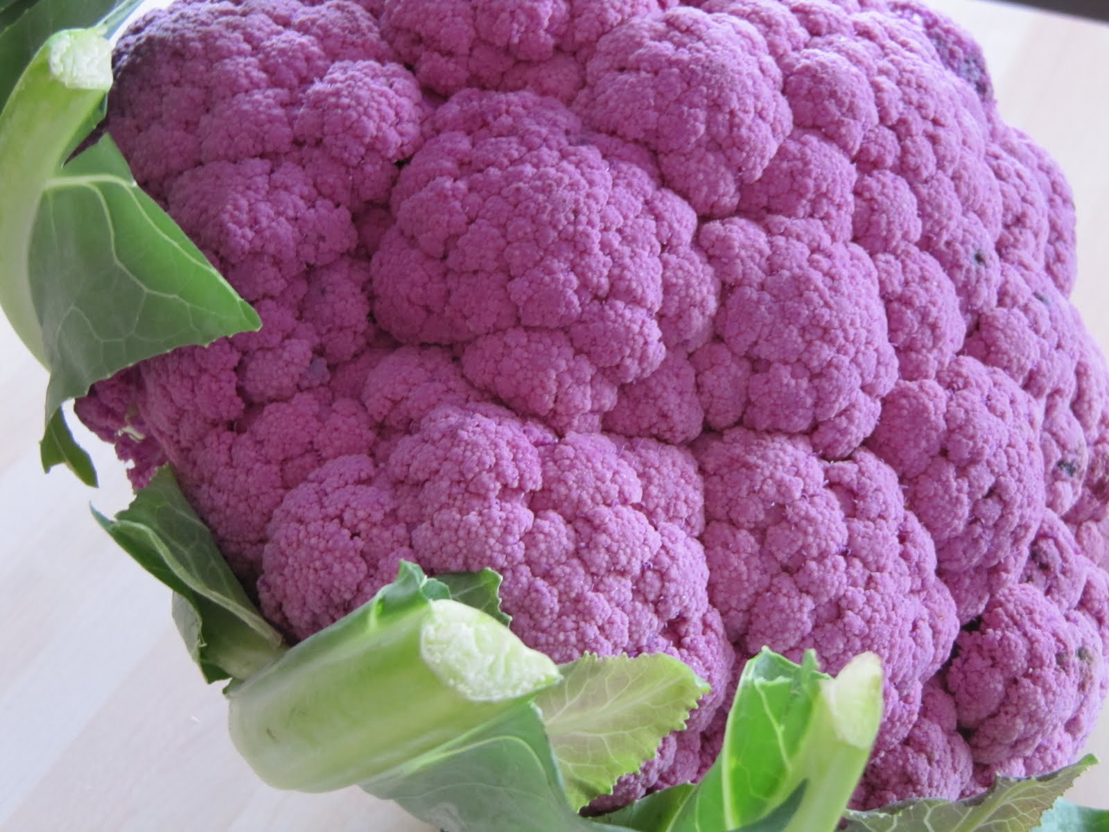 rencontres faciles paris