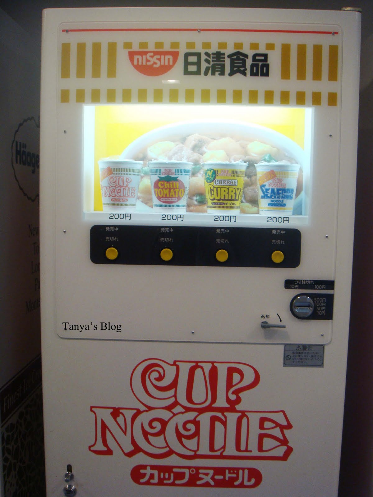 [DSC01163.JPG]