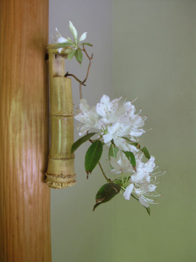chabana ikebana