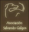ASOCIACION SALVANDO GALGOS