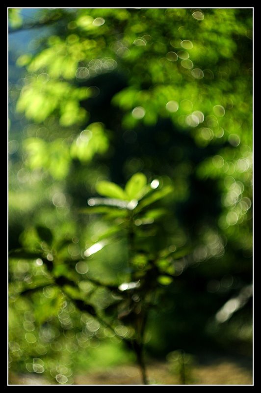 [DSC_3364.JPG]