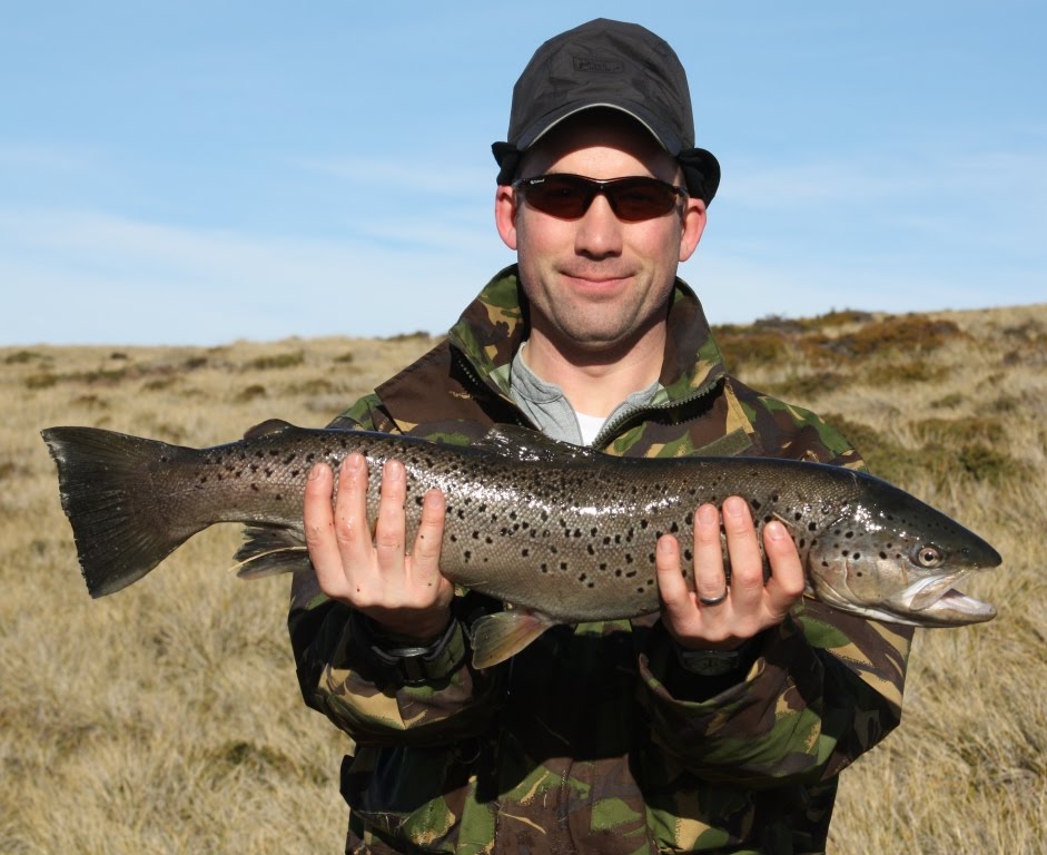 DEESOX The Falklands Flasher