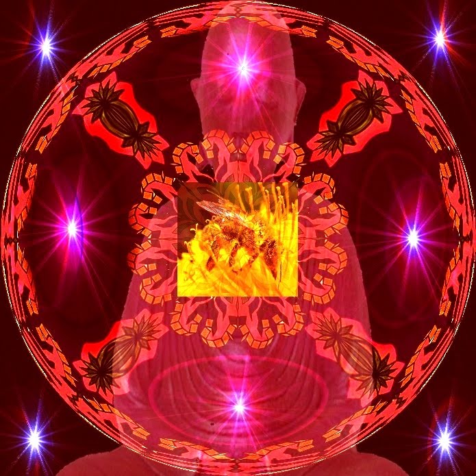 [Mandala+pollinisation.jpg]