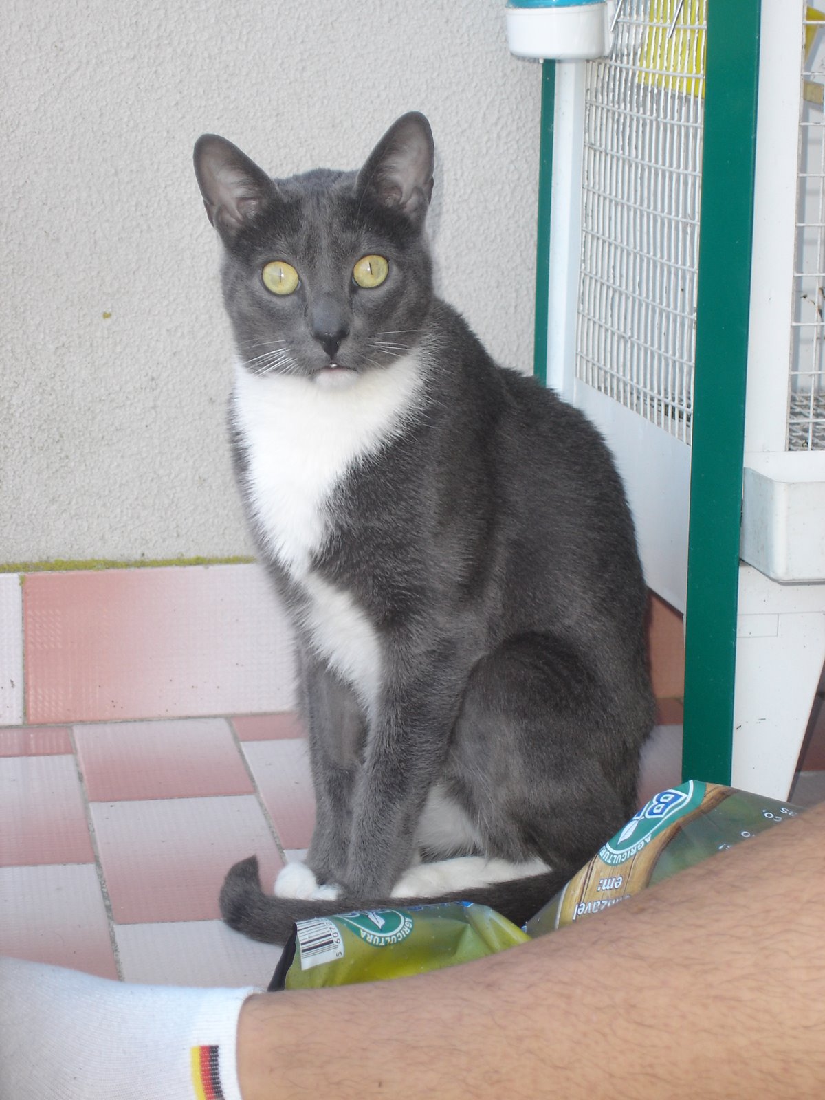 [DSC08236.JPG]
