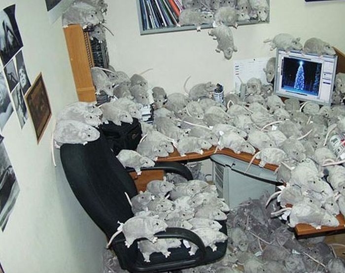 ... office cubicle pranks - 21 Pics | Curious, Funny Photos / Pictures ... office cubicle pranks - 21 Pics | Curious, Funny Photos / Pictures