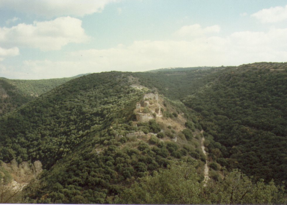 [adamitmontfort.jpg]