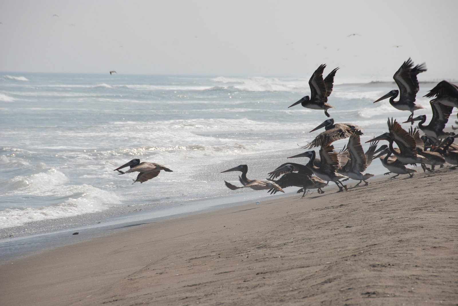 [DSC_9409.JPG]