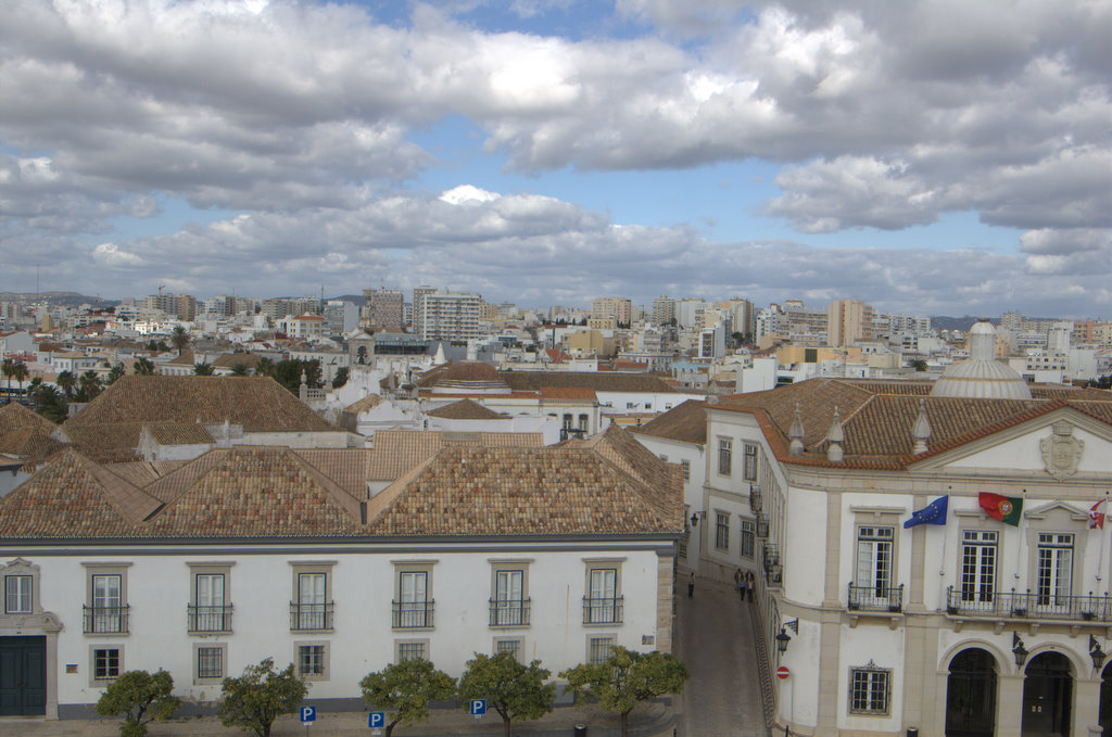 [DSC_1865.jpg]