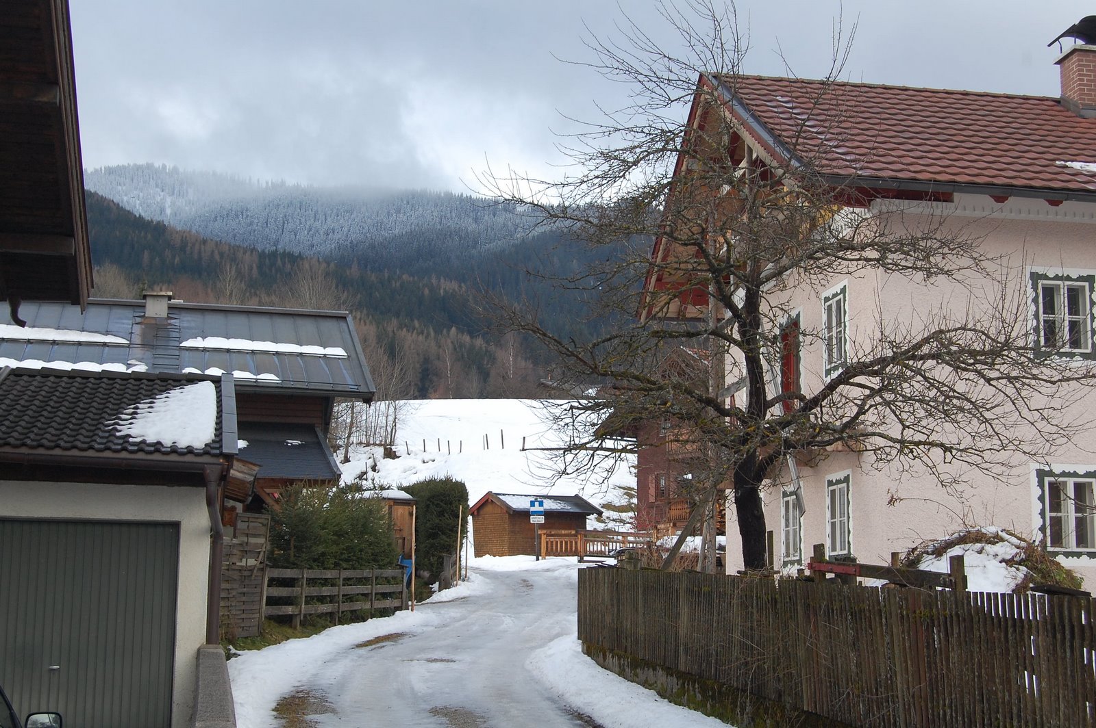 [DSC_2557.JPG]