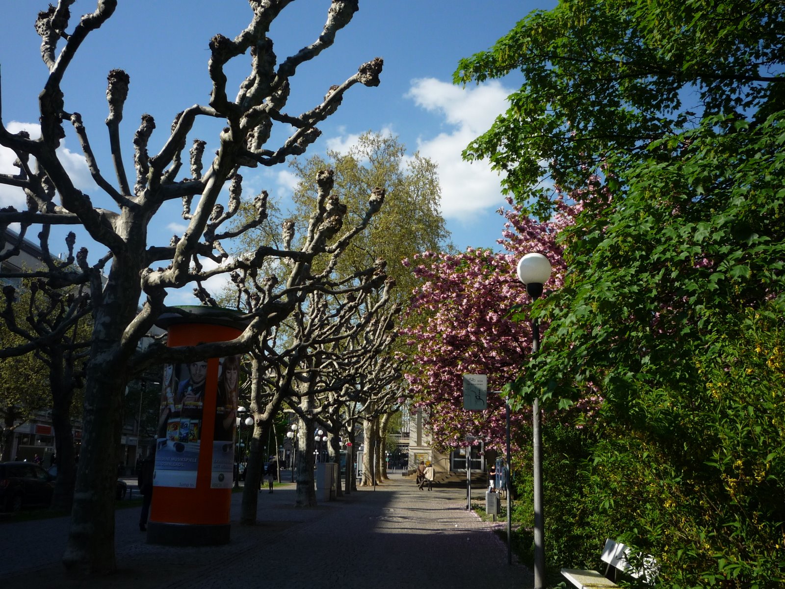 [P1010522.JPG]