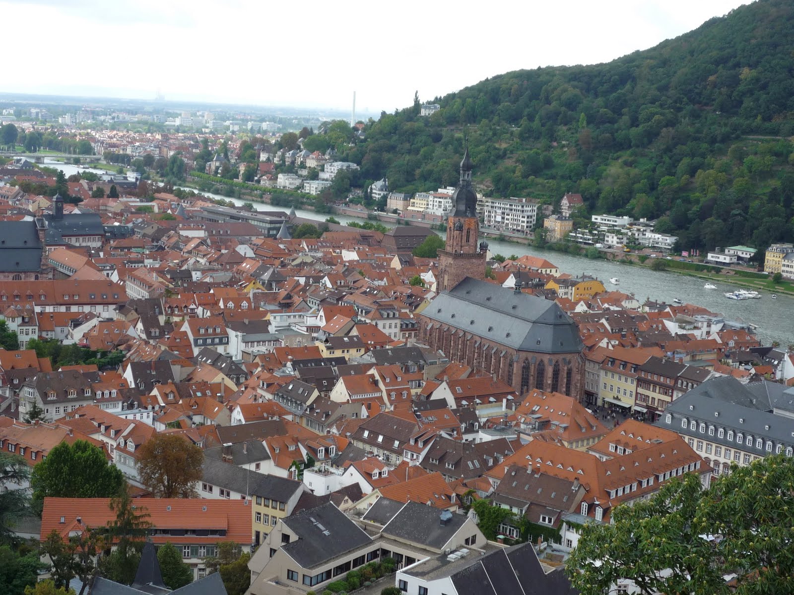 [P1010867-.JPG]