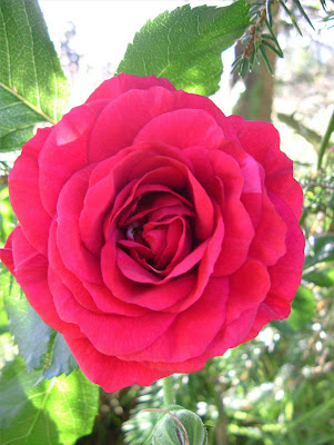 luverne sex chat Sex & hookups 40 to 60 years usa, luverne looking for love i'm looking for a long term intimate sexual relationship & possible marriage to a very sexy stud. luverne sex chat Sex & hookups 40 to 60 years usa, luverne looking for love i'm looking for a long term intimate sexual relationship & possible marriage to a very sexy stud.