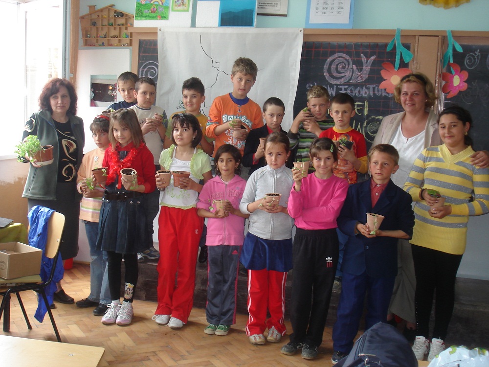 Slow Food Turda Plantare De Busuioc La Scoala Andrei Saguna