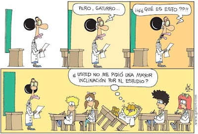 gatu gatu