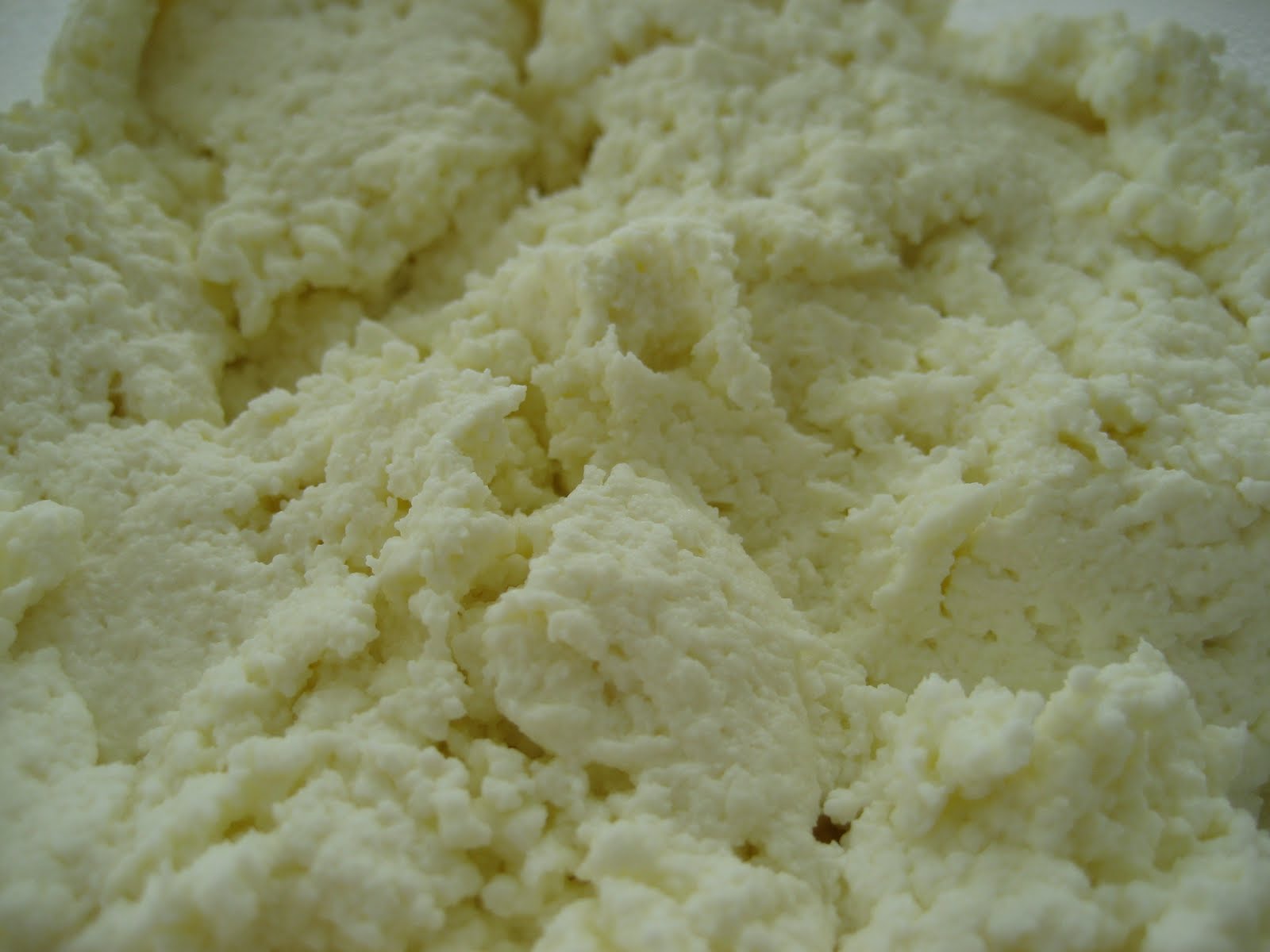 Mission Food Fresh Ricotta Cheese