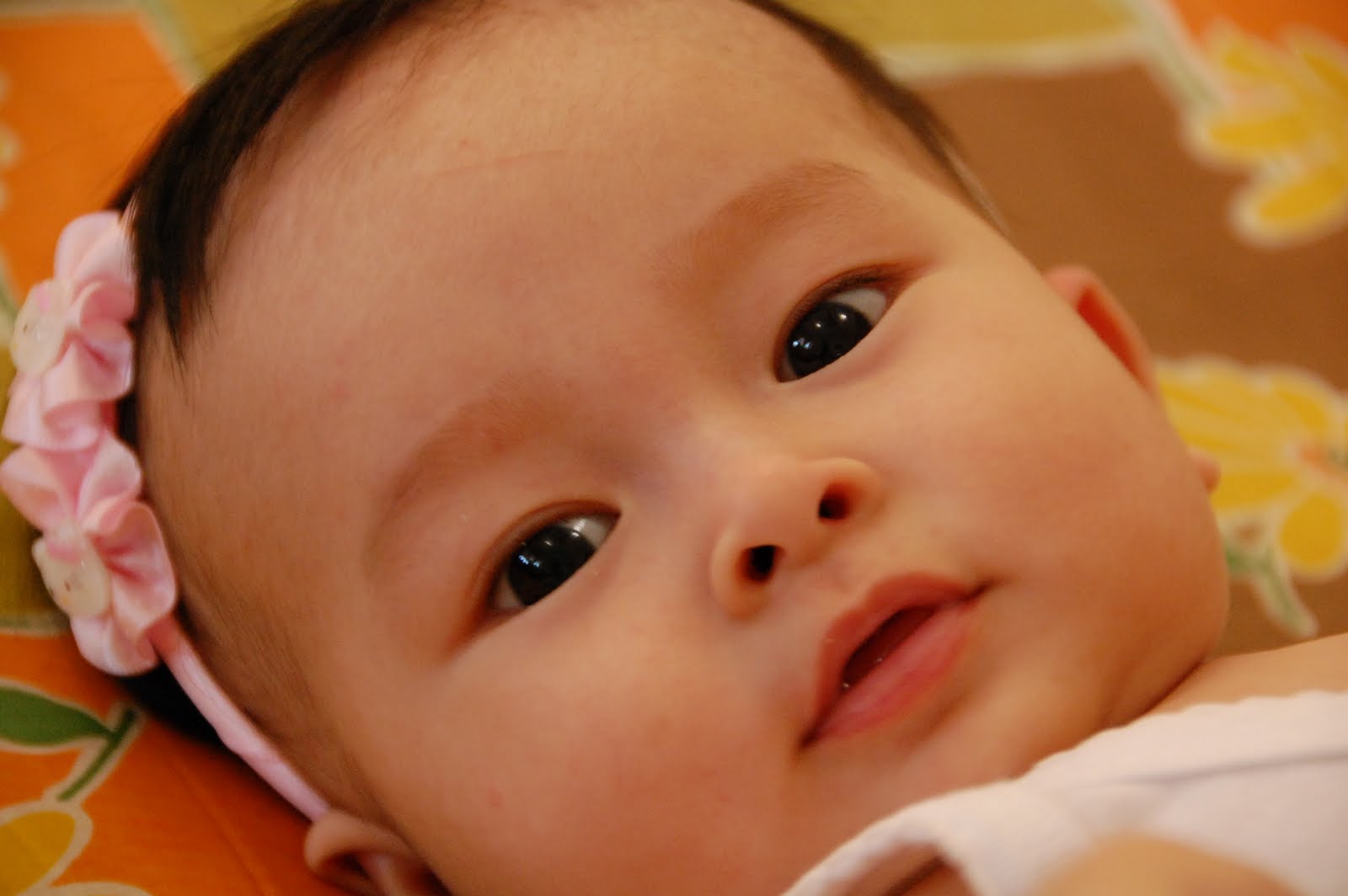 [DSC_0957.JPG]