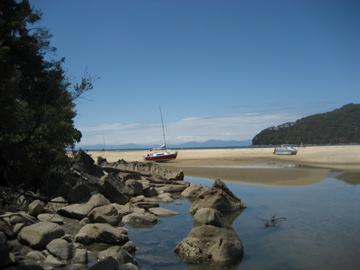 [IMG_4498.jpg]