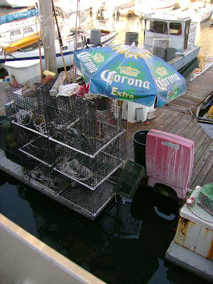 Boats in the Marina - Redondo Beach