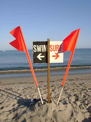 Swim or Surf? - Surfrider Beach - Malibu