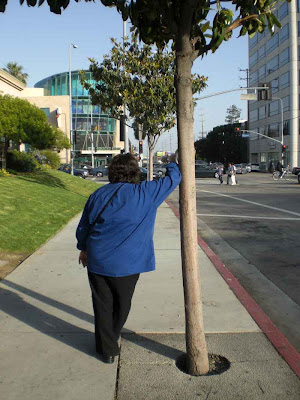 Waiting in Blue - West L.A.