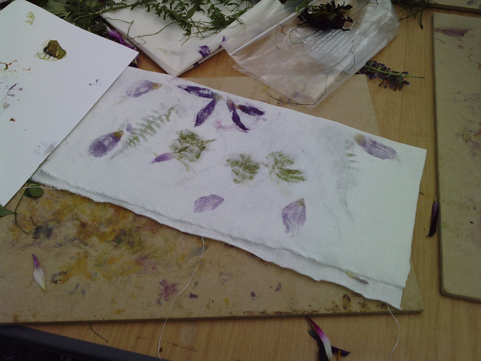 [P220809_15.520001.JPG]