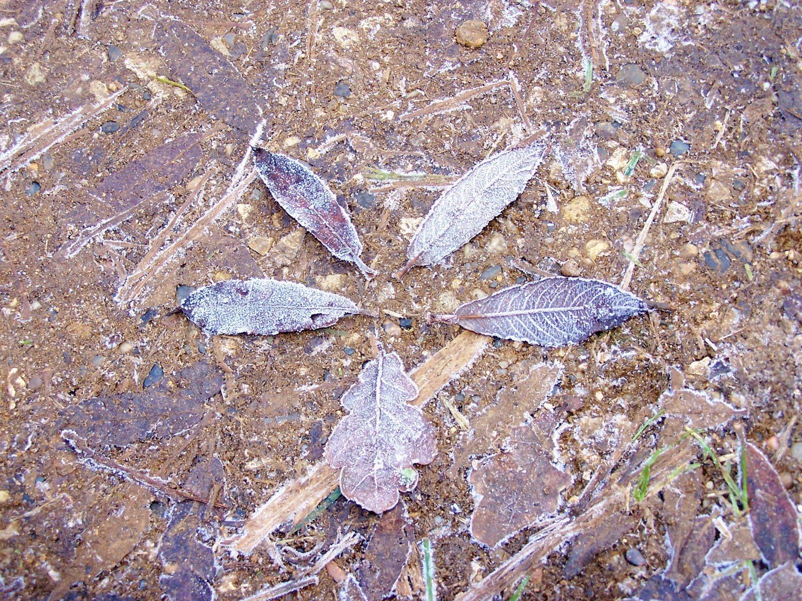 [100_7191-718913.JPG]