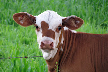 A face only a mother could love!!!